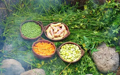 6 Foods You Should Bury in Your Backyard