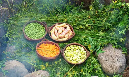 6 Foods You Should Bury in Your Backyard