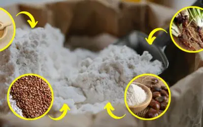 Common Plants You Can Turn Into Flour in a Crisis