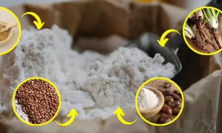 Common Plants You Can Turn Into Flour in a Crisis