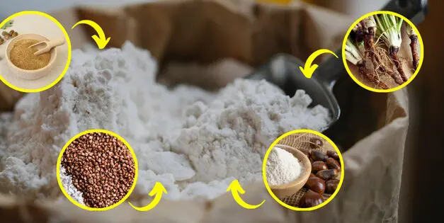 Common Plants You Can Turn Into Flour in a Crisis