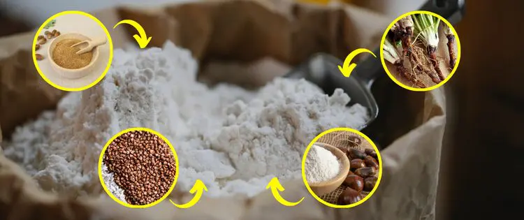 Common Plants You Can Turn Into Flour in a Crisis