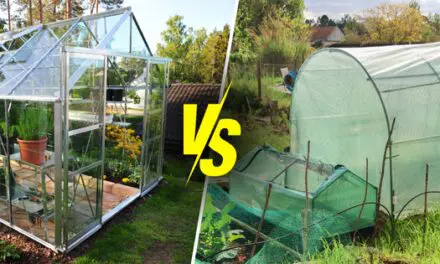 Greenhouse vs Hoophouse