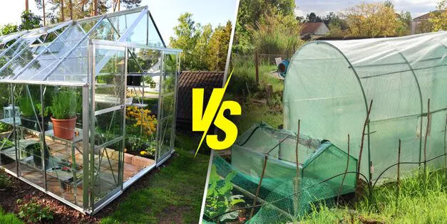Greenhouse vs Hoophouse