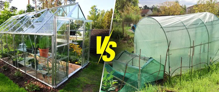 Greenhouse vs Hoophouse