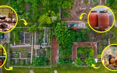 Homesteading Skills You Need Before The Next Crisis