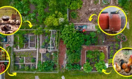 Homesteading Skills You Need Before The Next Crisis