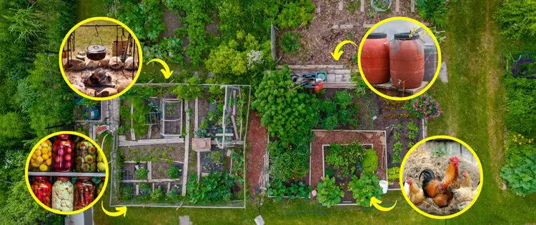 Homesteading Skills You Need Before The Next Crisis