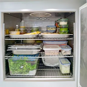 Power Outage: How To Survive The First 7 Days