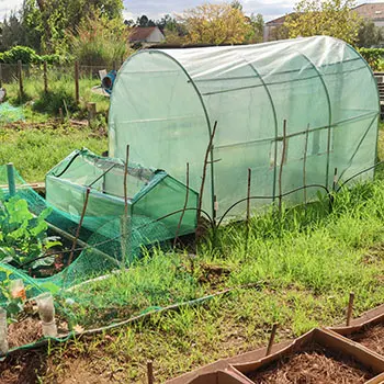 Greenhouse vs Hoophouse