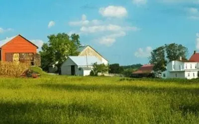 Homestead vs. Farm