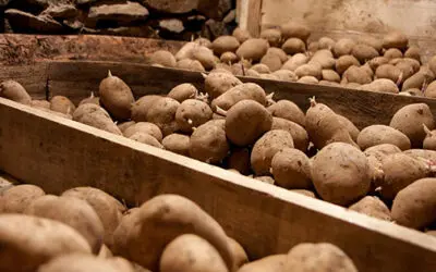 How Long Do Potatoes Last?