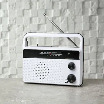 How to Keep Looters Off Your Property After a Disaster