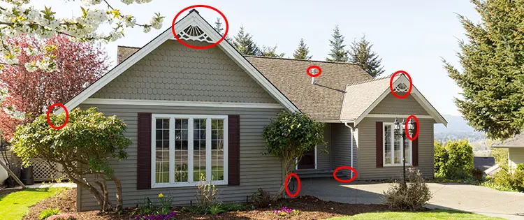 How to Keep Looters Off Your Property After a Disaster