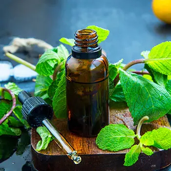 How To Protect Your Food Storage From Insects