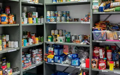 How To Protect Your Food Storage From Insects