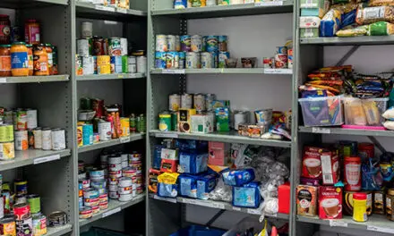 How To Protect Your Food Storage From Insects