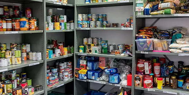 How To Protect Your Food Storage From Insects