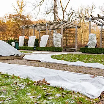 How To Winter-Proof Your Garden