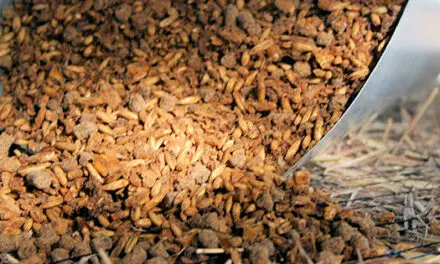 Never Feed This To Your Livestock