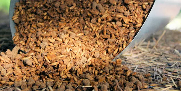 Never Feed This To Your Livestock