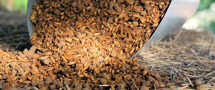 Never Feed This To Your Livestock