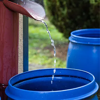 This Is How I Disappeared From the Grid