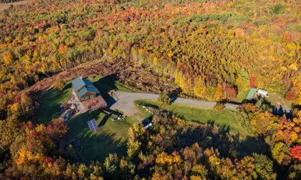 This Is How I Disappeared From the Grid