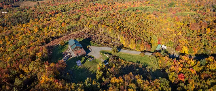 This Is How I Disappeared From the Grid