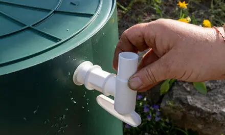 This Water Source Will Disappear in a Crisis