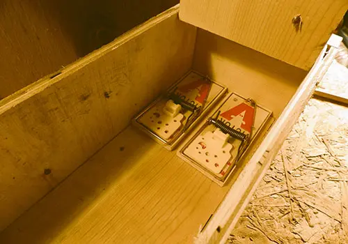 DIY Harmless Rat Trap - step 13