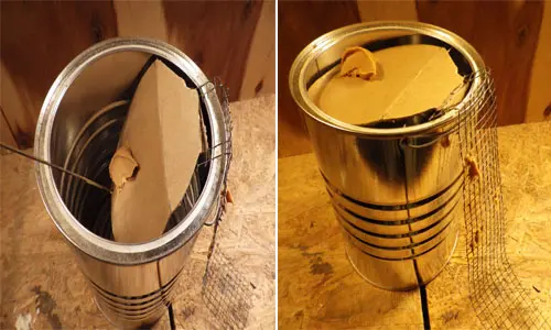 DIY Harmless Rat Trap - step 3