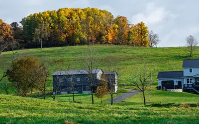 Why The Amish Never Stockpile These Homesteading Items