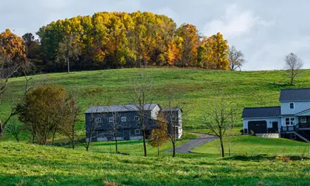 Why The Amish Never Stockpile These Homesteading Items