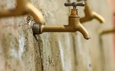 How To Survive In A World Without Water