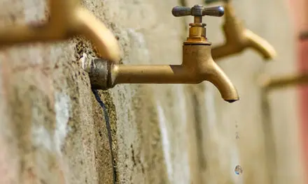 How To Survive In A World Without Water