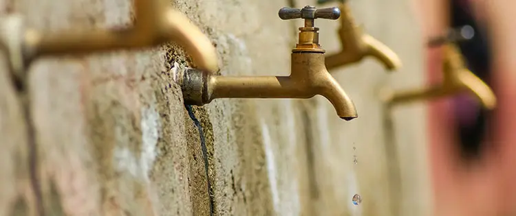 How To Survive In A World Without Water