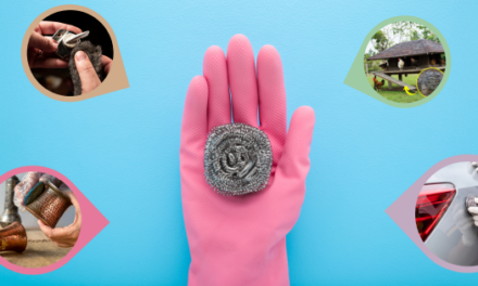 Ingenious Uses for Steel Wool