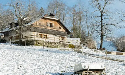 The Most Important Project You Need to Make This Winter on Your Property