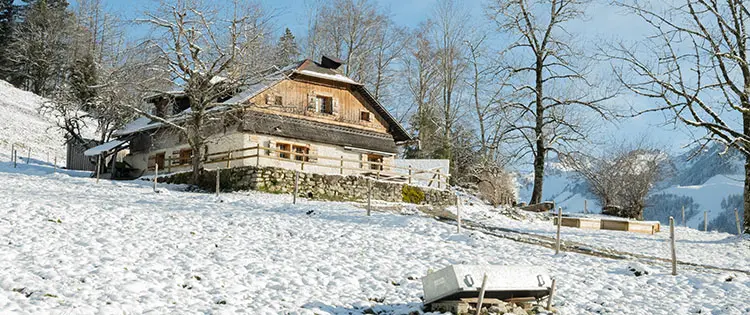 The Most Important Project You Need to Make This Winter on Your Property