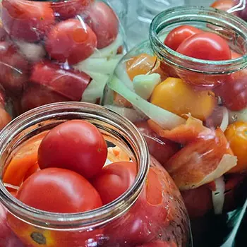 Fermentation 101 - fermenting vegetables