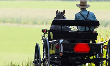 Homesteading Lessons I Learned from the Amish
