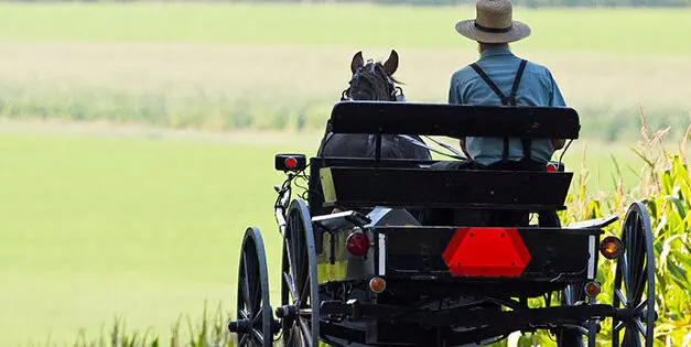 Homesteading Lessons I Learned from the Amish