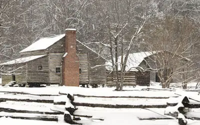 How to Survive a Deadly Blizzard