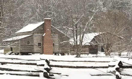 How to Survive a Deadly Blizzard