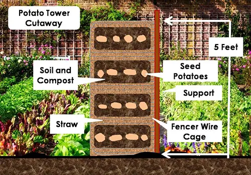 how a potato growing tower looks like