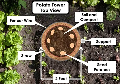potato tower seen from above