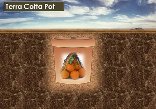 i use clay pots as mini root cellars