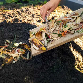 making homesteading mistakes about waste management