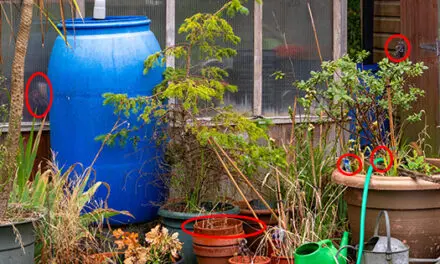 Signs You’re Probably Not Taking Homesteading Seriously